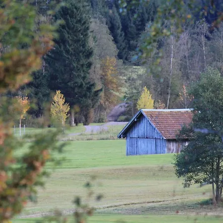 Ferienwohnung-rotspitz-mit-blick-in-die-allgaeuer-alpen *