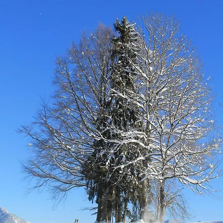 Ferienwohnung-rotspitz-mit-blick-in-die-allgaeuer-alpen Apartment *